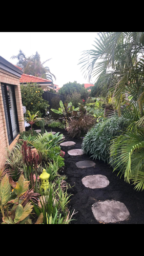 IMG_8709.png IMG_8709.png