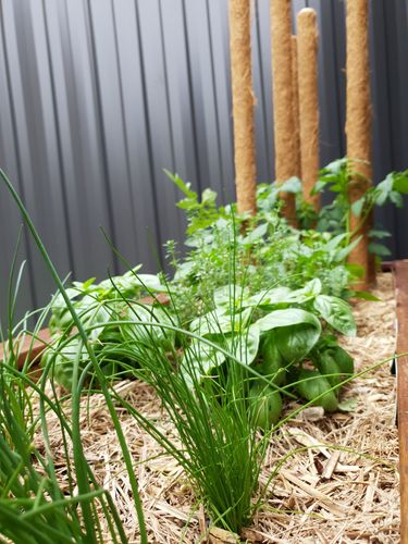 20201123_183812.jpg 20201123_183812.jpg