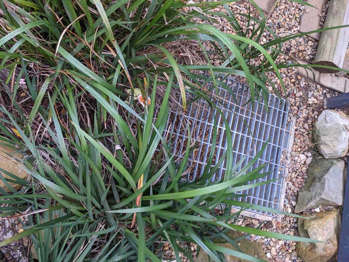 PXL_20210703_054740622.jpg PXL_20210703_054740622.jpg