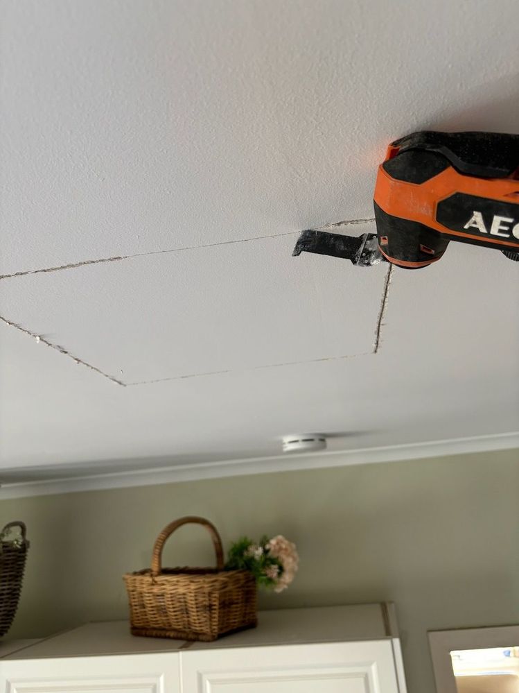 IMG_8230.jpeg IMG_8230.jpeg