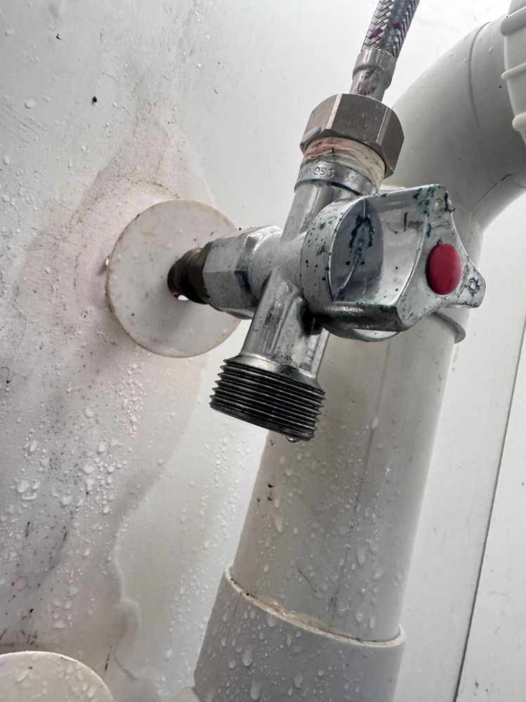 IMG_7603.JPG IMG_7603.JPG