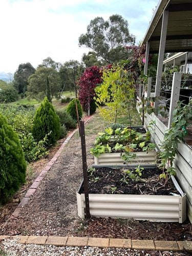 FCD2943E-D734-41D0-BD7B-D1C22442B54A.jpeg FCD2943E-D734-41D0-BD7B-D1C22442B54A.jpeg