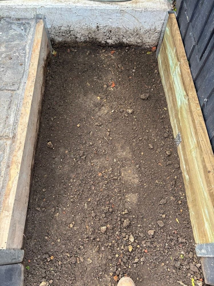 IMG_4906.JPG IMG_4906.JPG