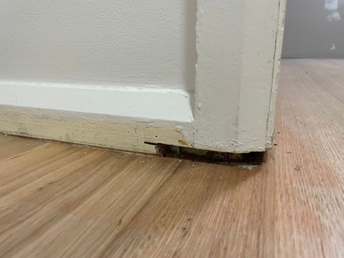 IMG_1204.jpeg IMG_1204.jpeg