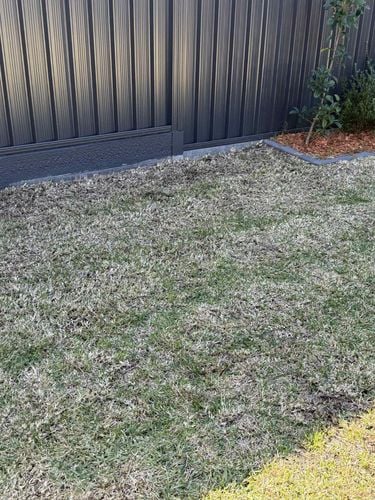 534ba7ce-3053-499d-9893-4d45c555dc58.jpg 534ba7ce-3053-499d-9893-4d45c555dc58.jpg