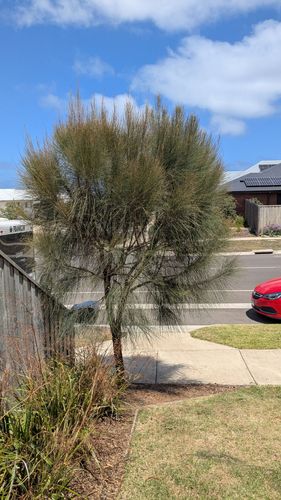 1000013784.jpg 1000013784.jpg