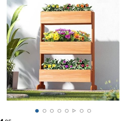 IMG_2157.jpeg IMG_2157.jpeg