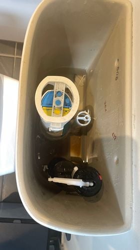 IMG_5743.jpeg IMG_5743.jpeg