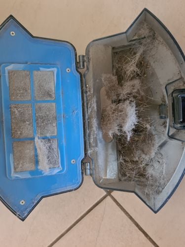 20220616_125017.jpg 20220616_125017.jpg