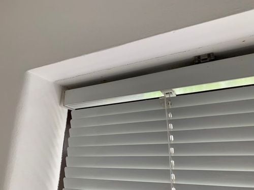 8D96FE67-B2D1-481B-82EC-BE96AC5CC7CE.jpeg 8D96FE67-B2D1-481B-82EC-BE96AC5CC7CE.jpeg