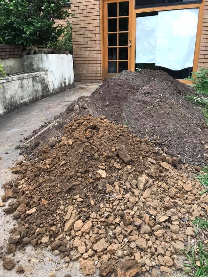 21 19-01-2021.jpg 21 19-01-2021.jpg