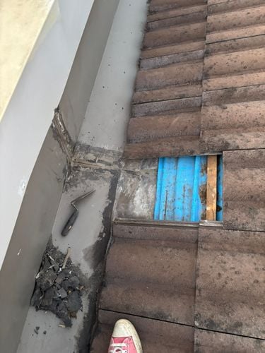 IMG_9608.jpeg IMG_9608.jpeg