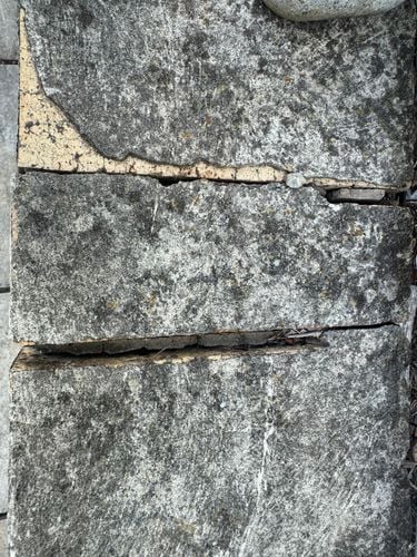 IMG_7704.jpeg IMG_7704.jpeg