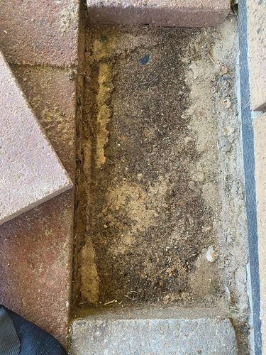 B3235983-69E5-41A0-A951-B77ACCA1A9A1.jpeg B3235983-69E5-41A0-A951-B77ACCA1A9A1.jpeg