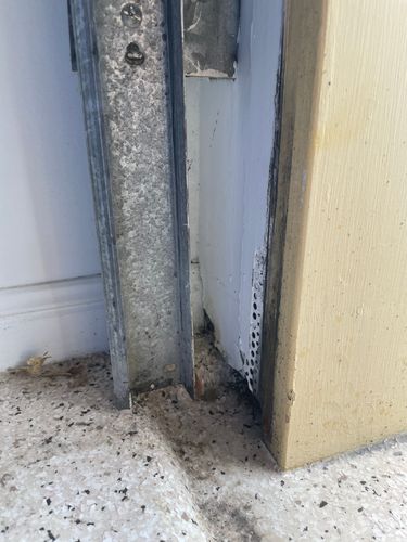 IMG_9290.jpeg IMG_9290.jpeg