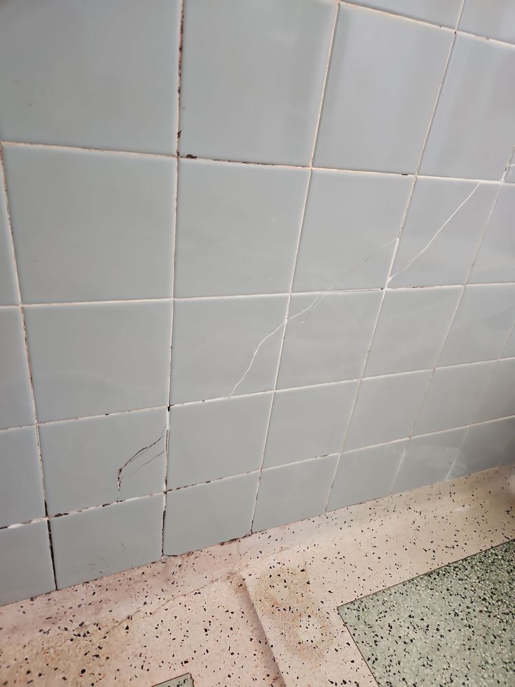 d40c25a0-47ad-4188-b798-9016711f1796.jpg d40c25a0-47ad-4188-b798-9016711f1796.jpg