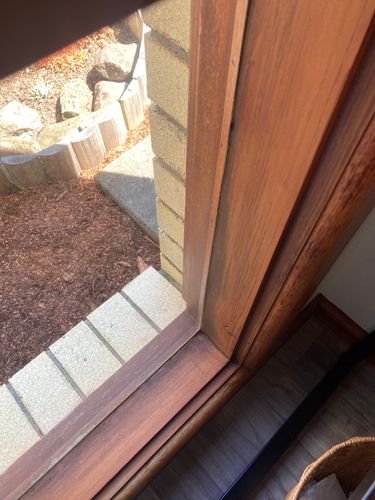 IMG_4882.jpeg IMG_4882.jpeg