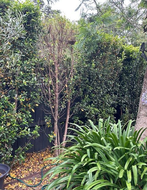 IMG_5617.jpg IMG_5617.jpg