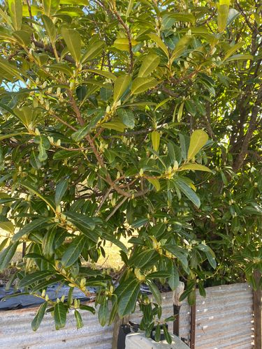 IMG_3387.jpeg IMG_3387.jpeg