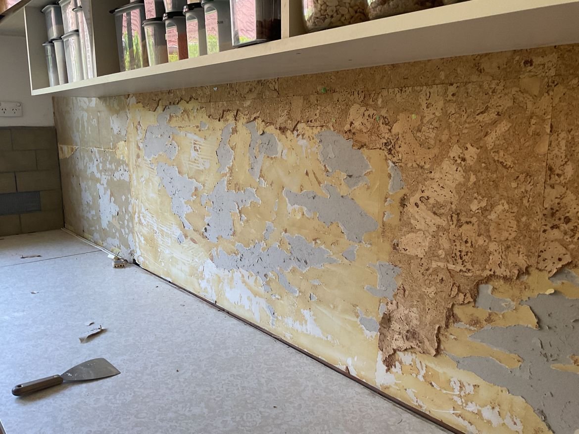 IMG_0146.jpeg IMG_0146.jpeg