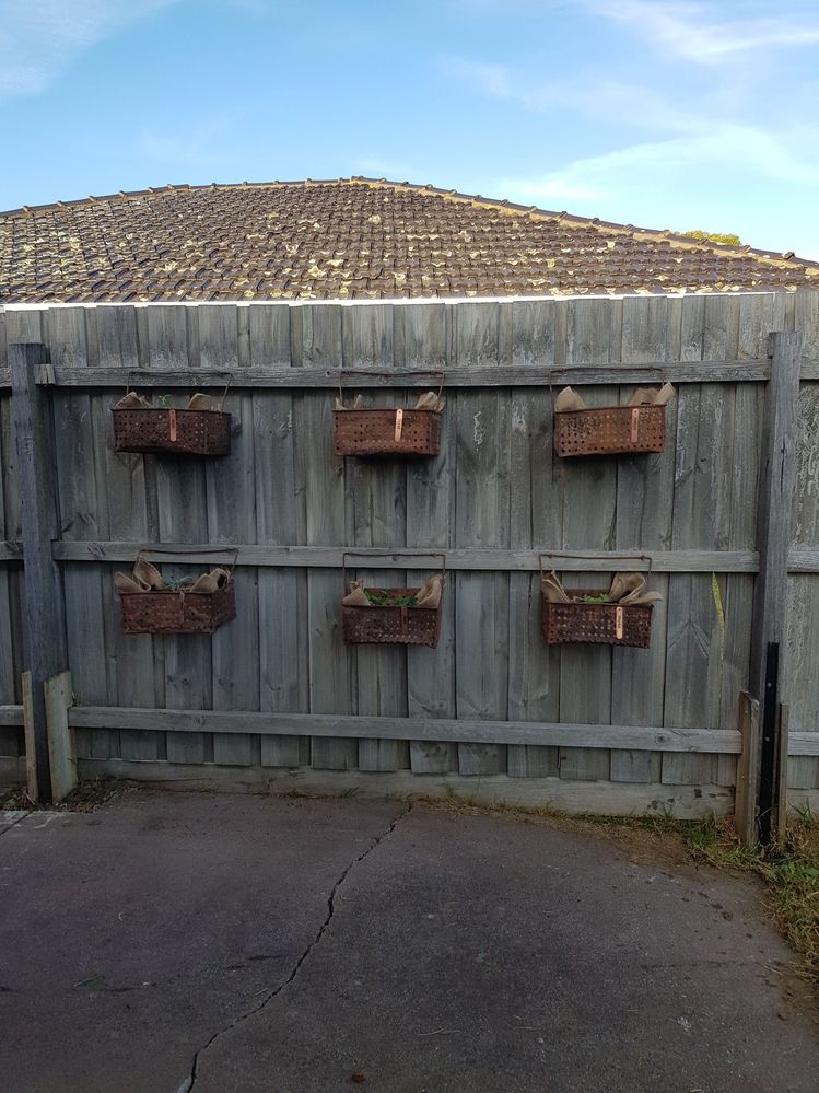 20180428_161309_resized.jpg 20180428_161309_resized.jpg