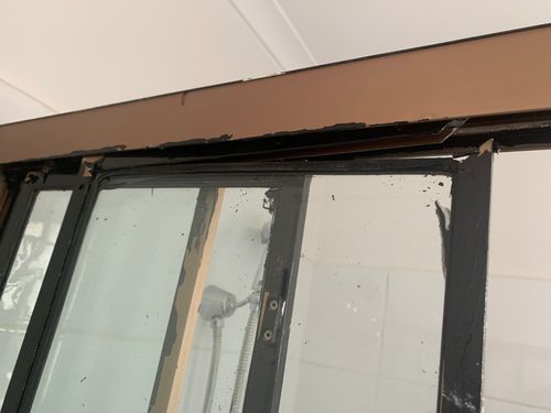 87D10F99-D6AD-4BE4-AFEC-B35C2C788AE0.jpeg 87D10F99-D6AD-4BE4-AFEC-B35C2C788AE0.jpeg