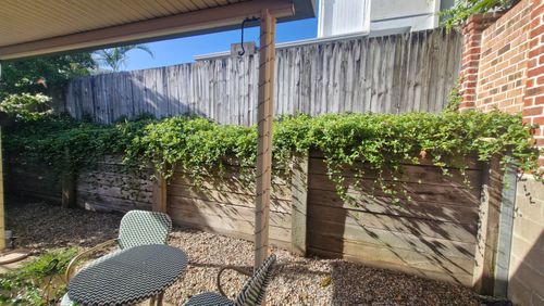 20260129_162602.jpg 20260129_162602.jpg