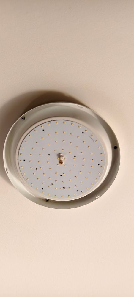 IMG_20250114_184900.jpg IMG_20250114_184900.jpg