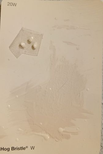 1000007670.jpg 1000007670.jpg