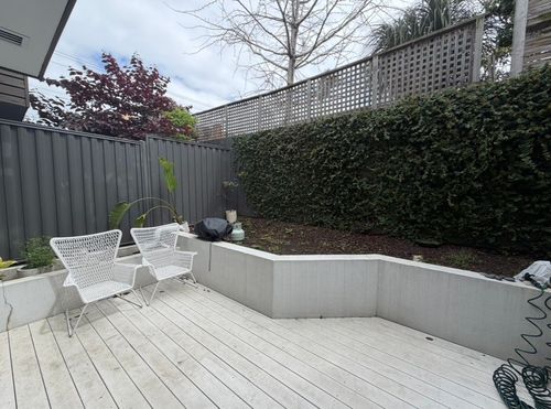 IMG_1955.jpeg IMG_1955.jpeg