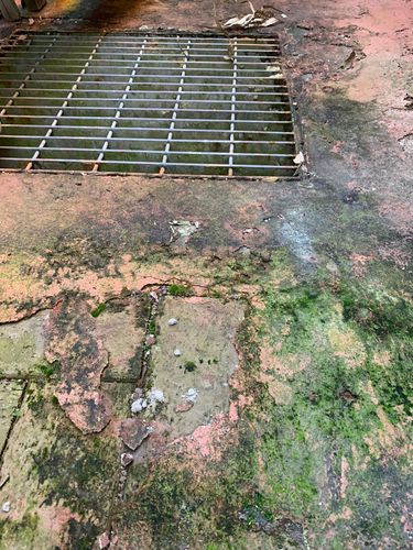 AA625CAE-5838-4937-8FA7-FC1C150A703E.jpeg AA625CAE-5838-4937-8FA7-FC1C150A703E.jpeg