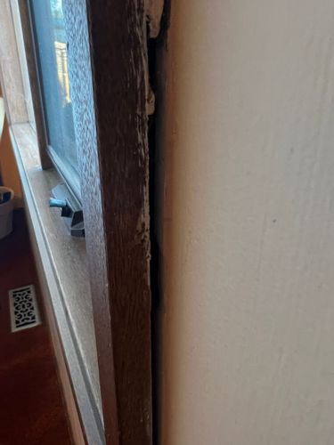 IMG_2871.jpeg IMG_2871.jpeg