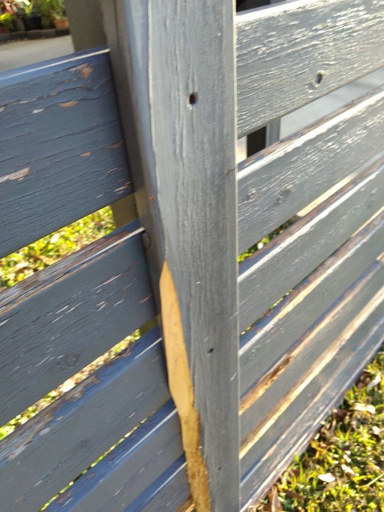 front fence 4.jpg front fence 4.jpg