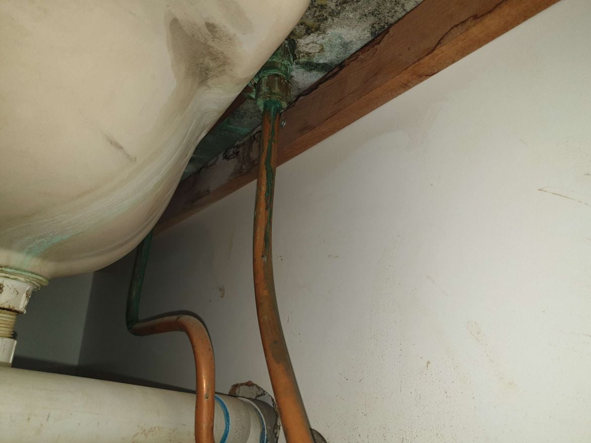 20240327_230059.jpg 20240327_230059.jpg