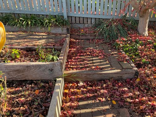 IMG_9561.jpeg IMG_9561.jpeg