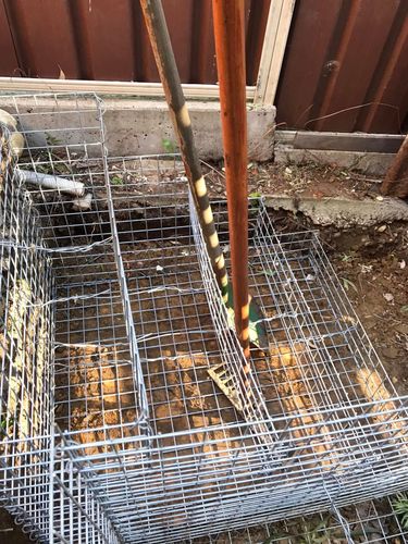 78 21-07-2024.jpg 78 21-07-2024.jpg