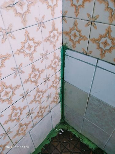 IMG20211130143954.jpg IMG20211130143954.jpg