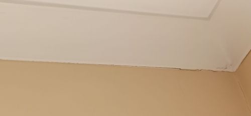 IMG_20230316_171052.jpg IMG_20230316_171052.jpg