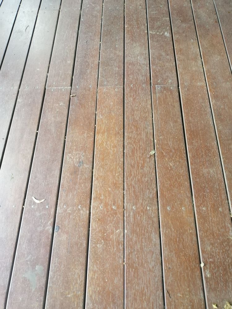 IMG_20211116_180343.jpg IMG_20211116_180343.jpg