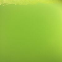 GreenPool.jpeg GreenPool.jpeg