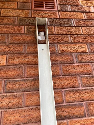 IMG_1690.jpeg IMG_1690.jpeg