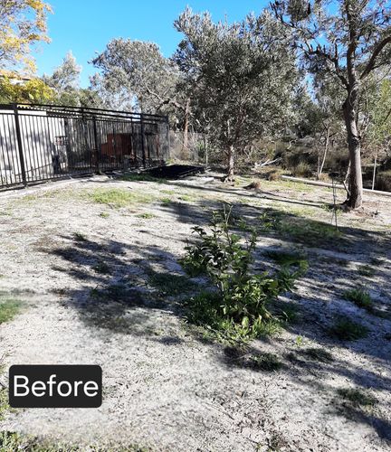 20230702_094402.jpg 20230702_094402.jpg