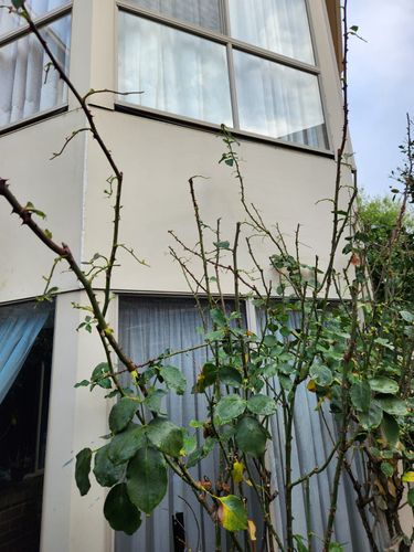 IMG-20250617-WA0000.jpg IMG-20250617-WA0000.jpg