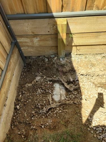 IMG_20241210_104530.jpg IMG_20241210_104530.jpg