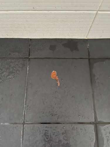 IMG_9246.jpeg IMG_9246.jpeg