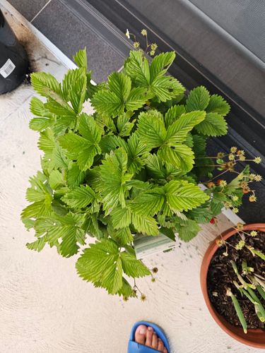 1000032299.jpg 1000032299.jpg