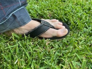 IMG_8853.jpeg IMG_8853.jpeg