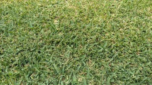 1000013573.jpg 1000013573.jpg