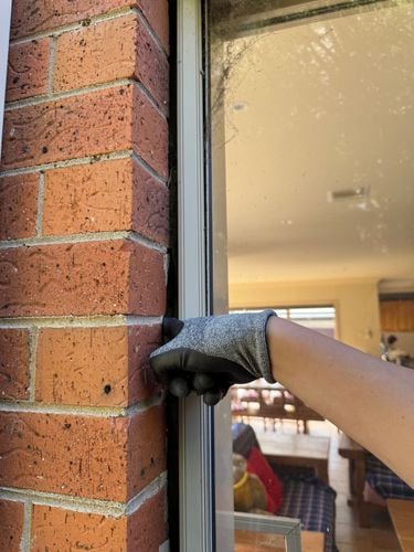 IMG_5642.jpeg IMG_5642.jpeg