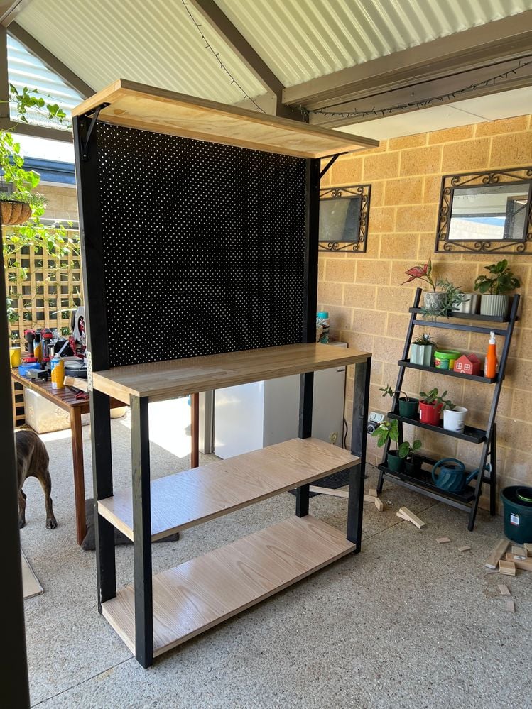 IMG_7701.JPG IMG_7701.JPG